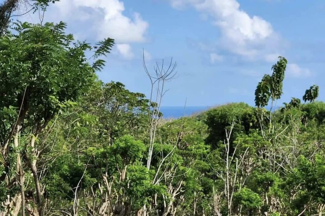Dijual Tanah Lokasi di pecatu Uluwatu Bali (3)