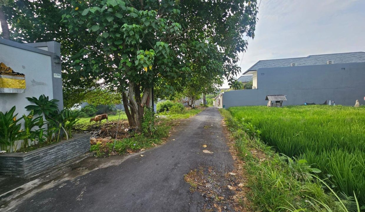 Dijual Tanah yang Berlokasi BUMBAK UMALAS Kerobokan (2)