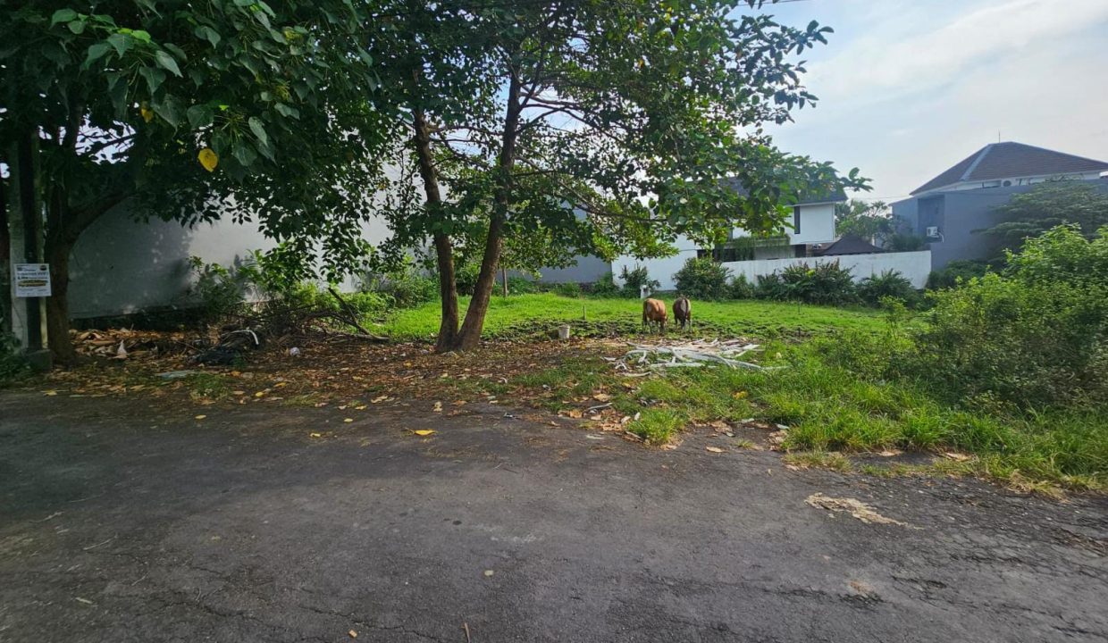 Dijual Tanah yang Berlokasi BUMBAK UMALAS Kerobokan (6)