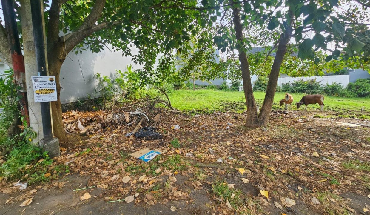 Dijual Tanah yang Berlokasi BUMBAK UMALAS Kerobokan (7)