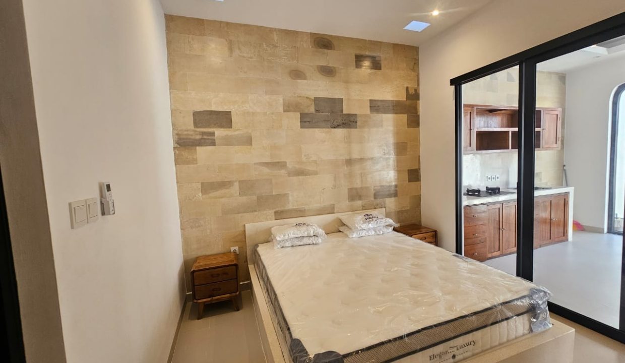 FREEHOLDLEASEHOLD Brand new villa Tibubeneng, Canggu (2)