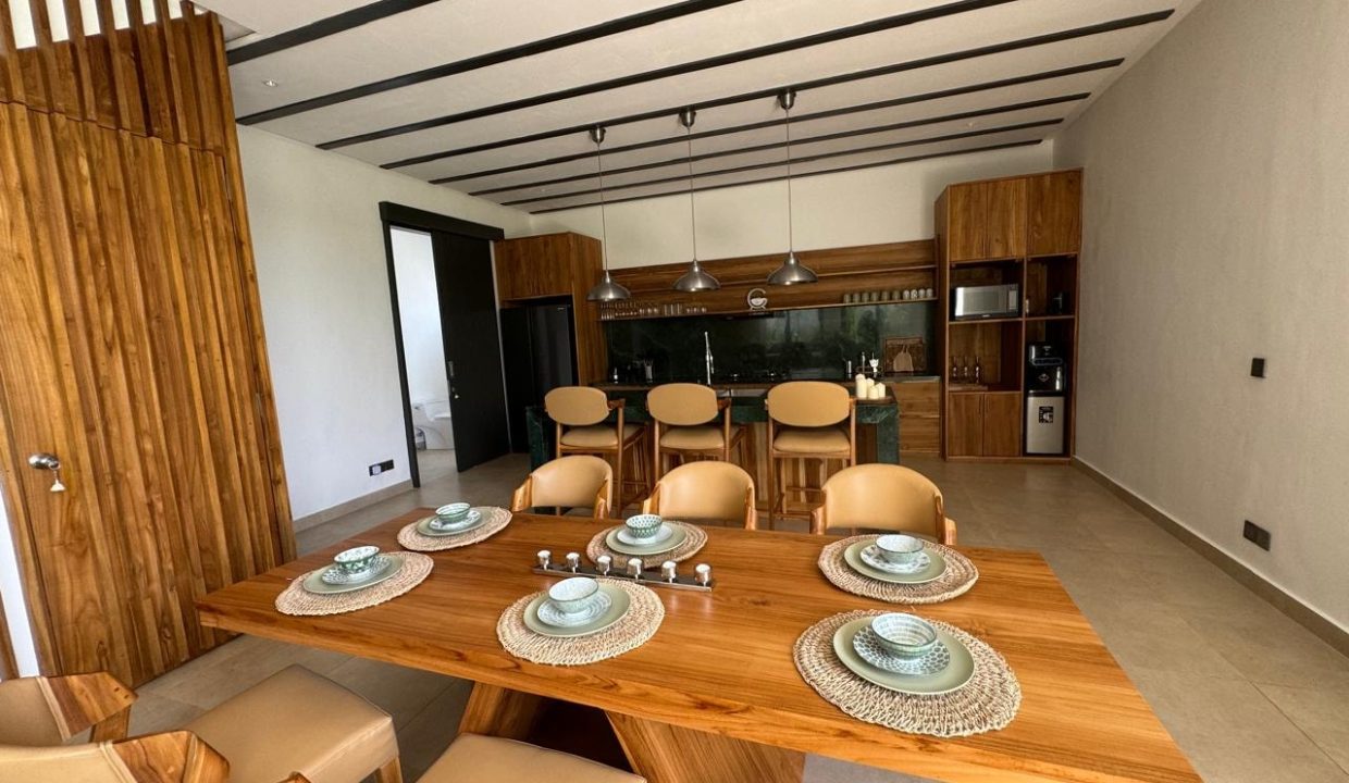 THE BEST FOR BUSSINESS, BRAND NEW VILLA FOR RENT (16)