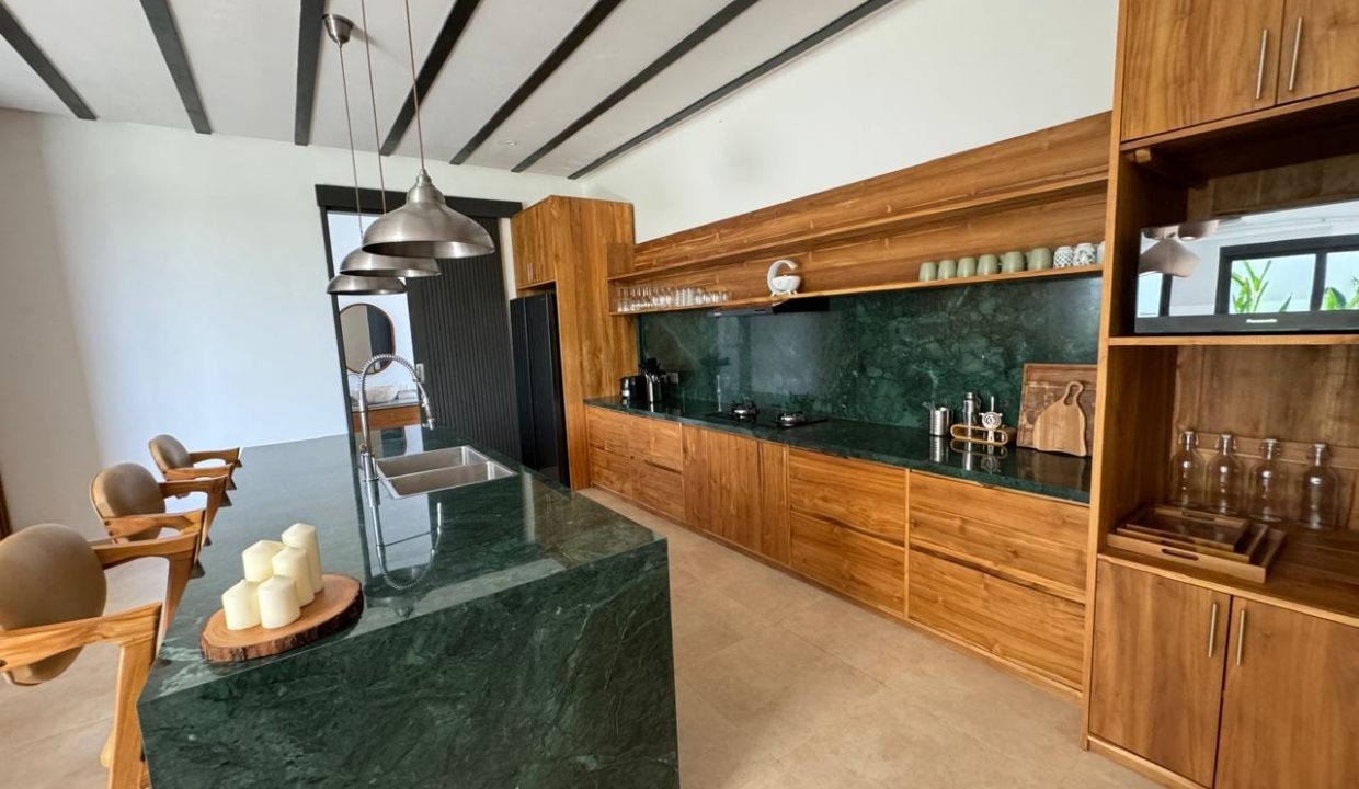 THE BEST FOR BUSSINESS, BRAND NEW VILLA FOR RENT (20)
