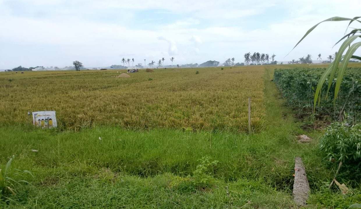 abefa5b5-38f2-4540-a3f4-e6aa2bd99751
