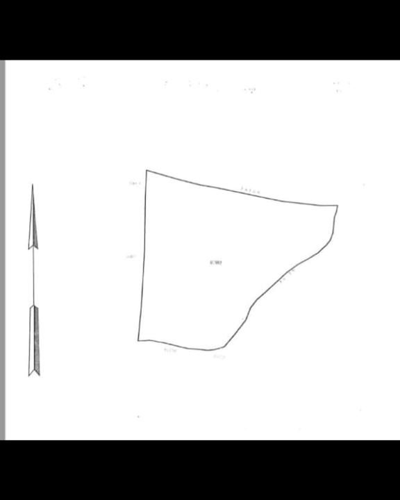 IMG-20251017-WA0019